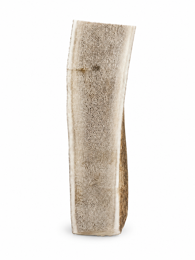 Elk Antler (Split)