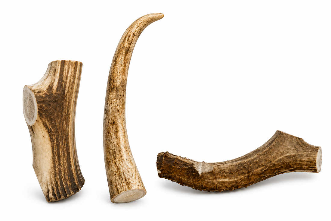 Elk antler split chew — natural dog treat from Heritage Antler Co