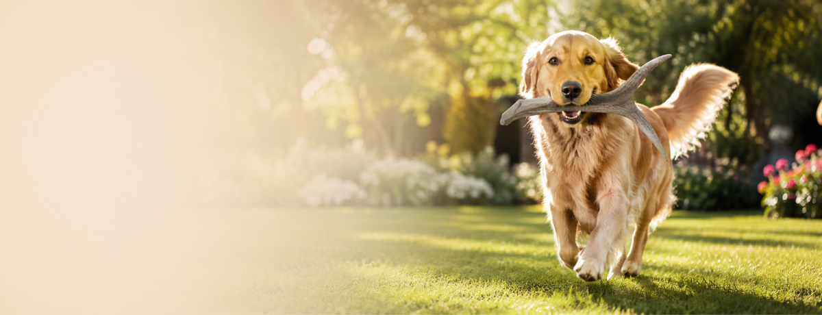 slider image slider_item_BT4Gn6